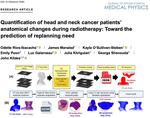 Quantification of head and neck cancer patients’ anatomical changes during radiotherapy. Toward the prediction of replanning need.